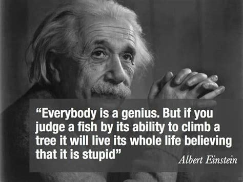 Everybody is a genius. But if you judge a fish by its ability to climb a tree it will live its whole life believing that it is stupid - Albert Einstein